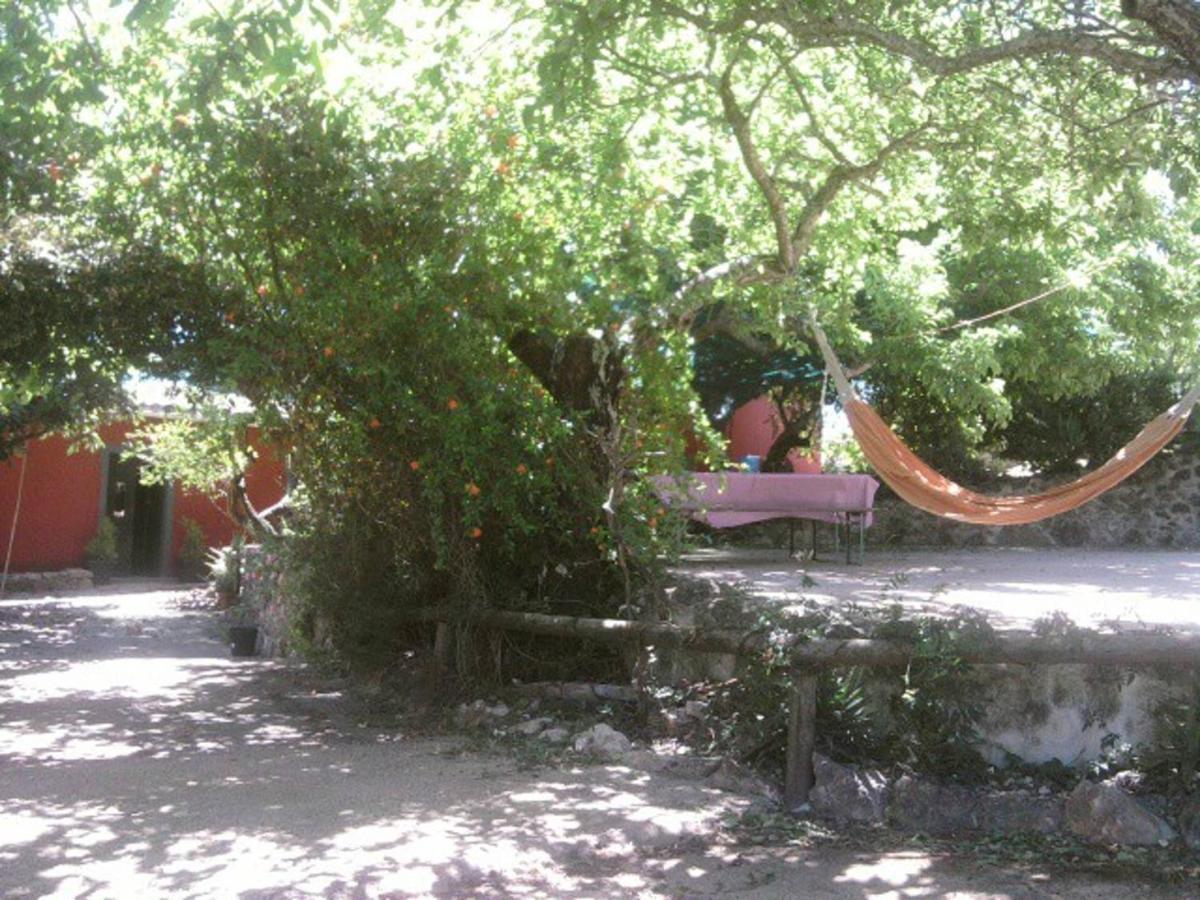 Pensión Casa Bi Rosario - Quinta Amoreira *